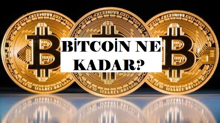 Bitcoin Ne Kadar?